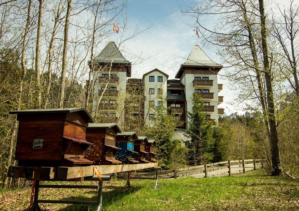 The Alpina Hotel 5*
